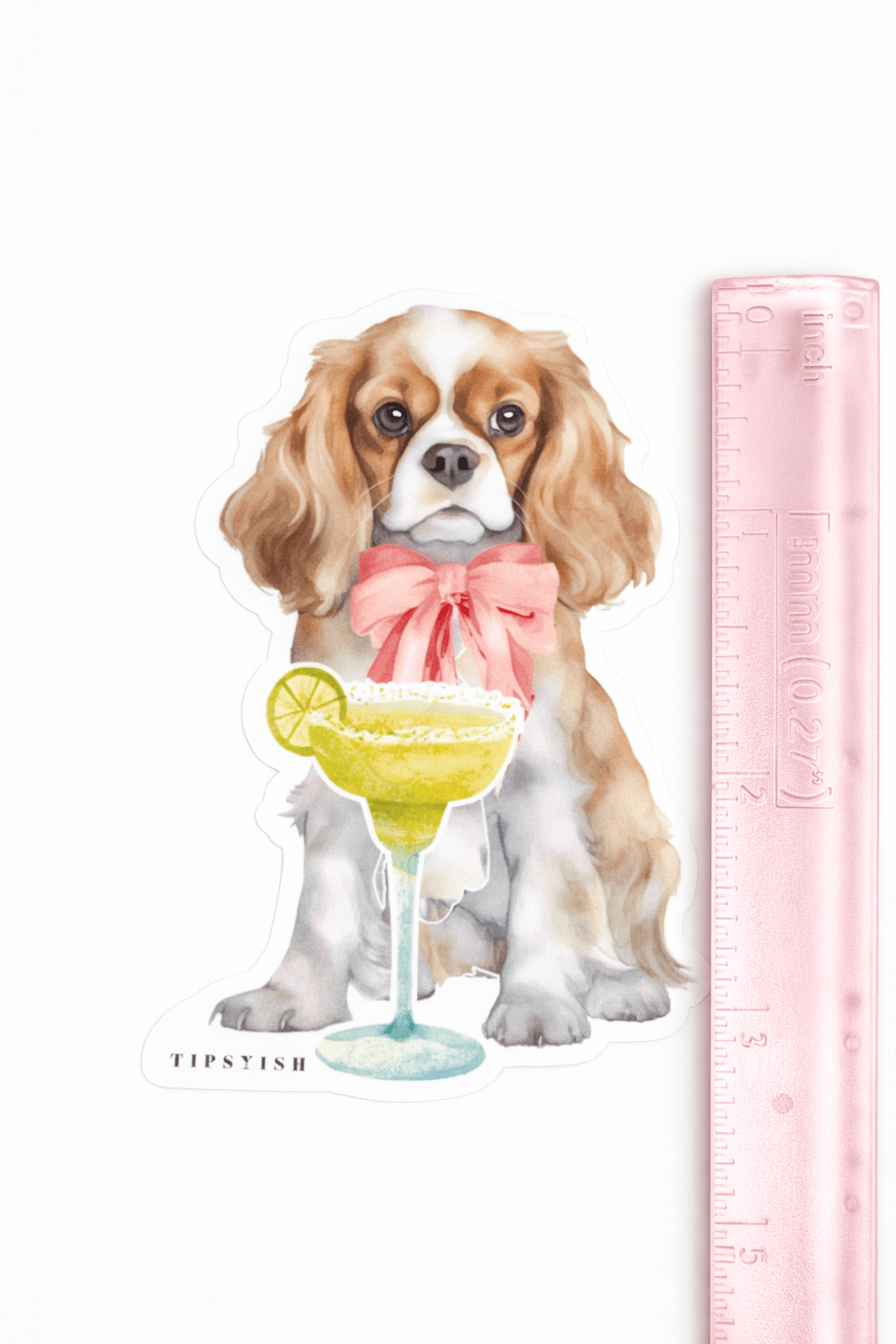 Dog with a cocktail and pink bow tie next to a ruler on a white background