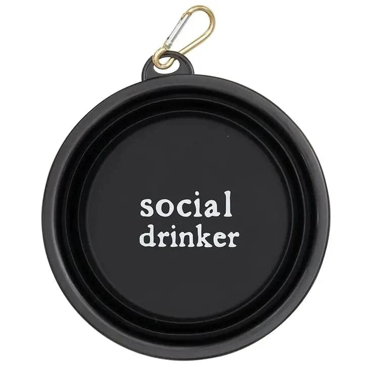 Black Collapsible Pet Bowl – “Social Drinker”