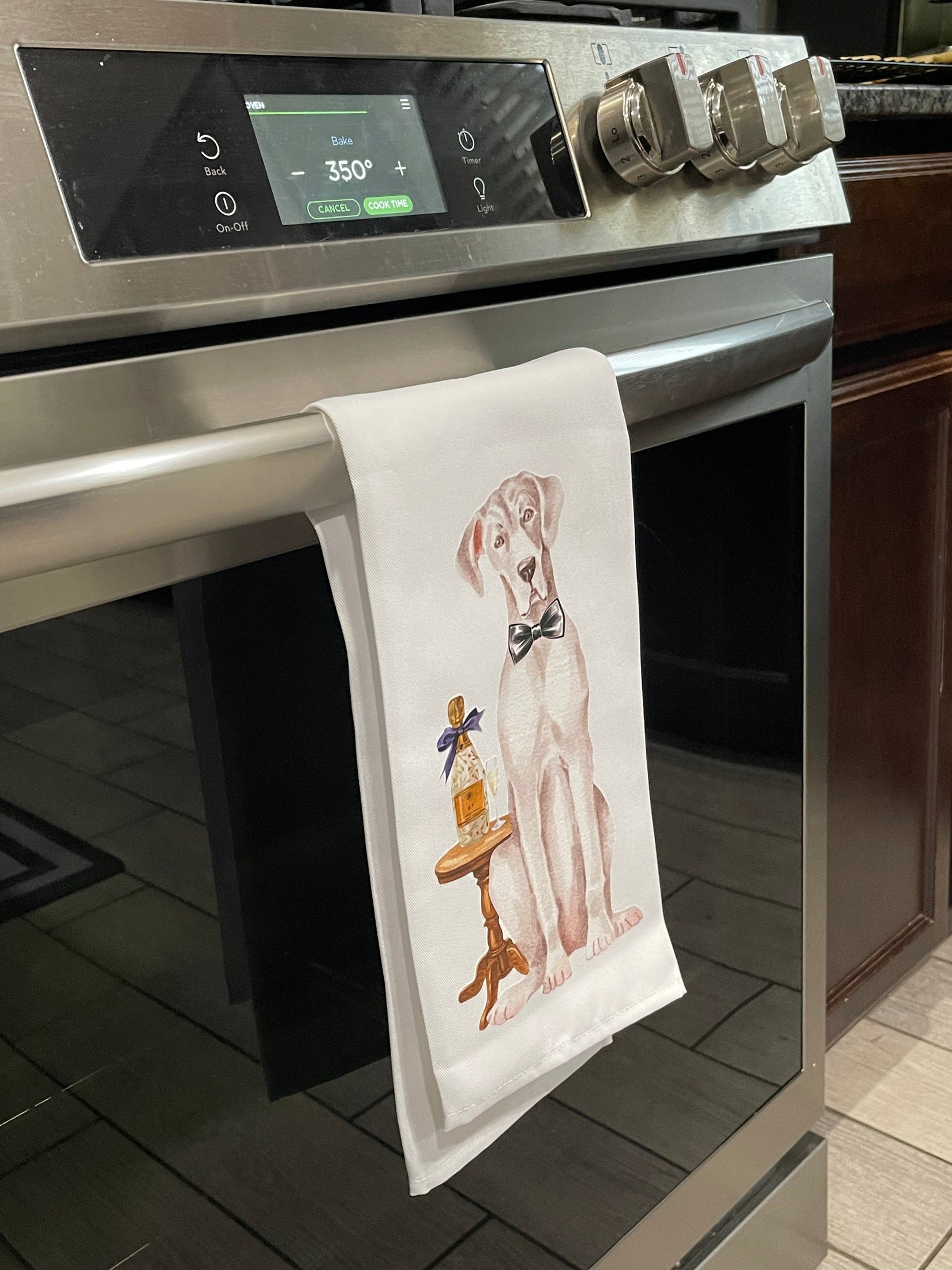 Stainless steel oven with a tea towel hanging on the handle 