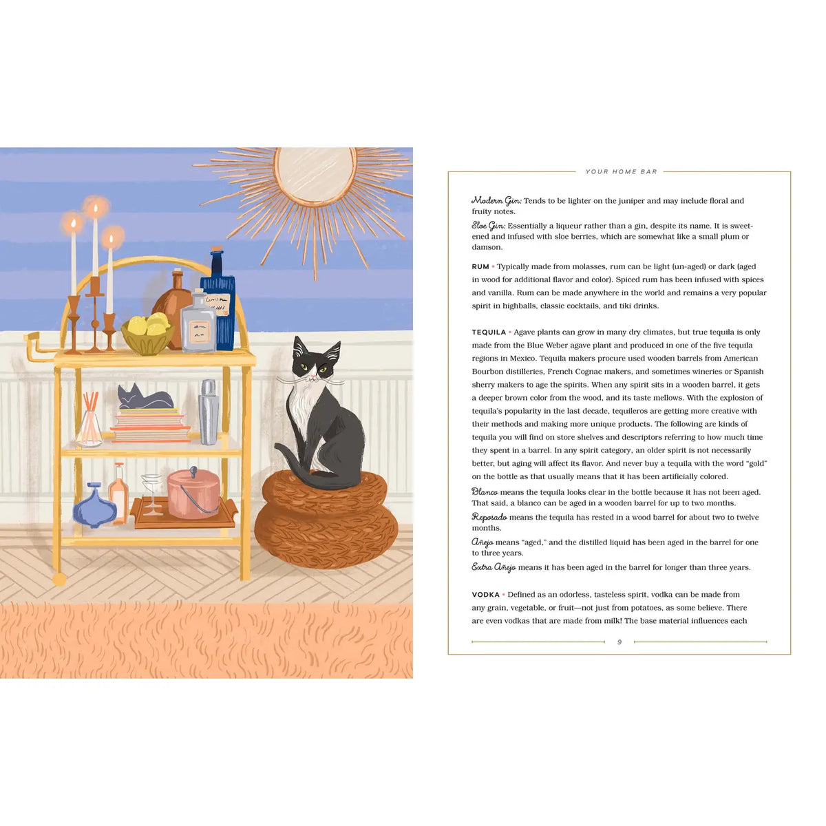 Interior pages of Cocktails with My Cat featuring a retro gold bar cart, a black and white cat, and a home bar guide explaining different types of spirits.