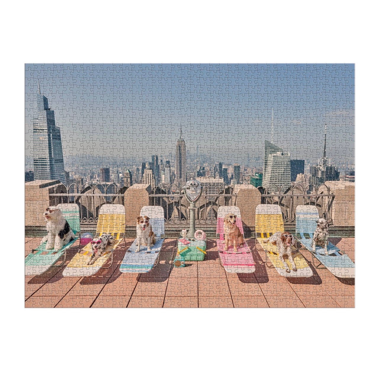 Gray Malin dog photography puzzle laid flat with New York City skyline