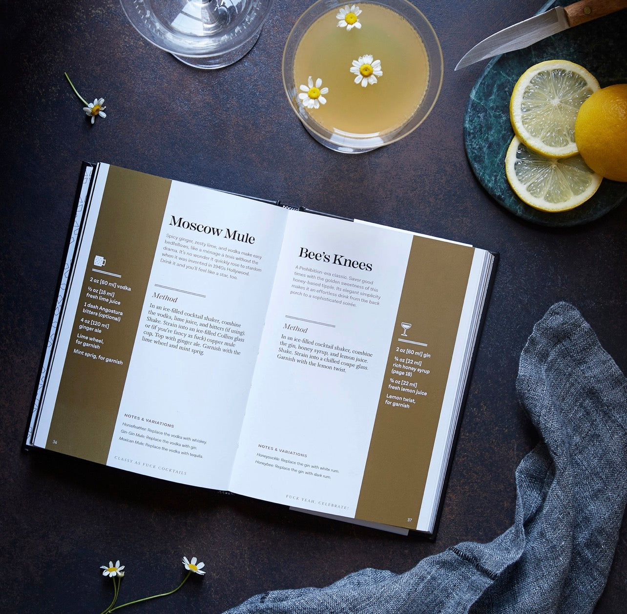 Open Classy as Fuck Cocktails book showing Moscow Mule and Bee’s Knees recipes