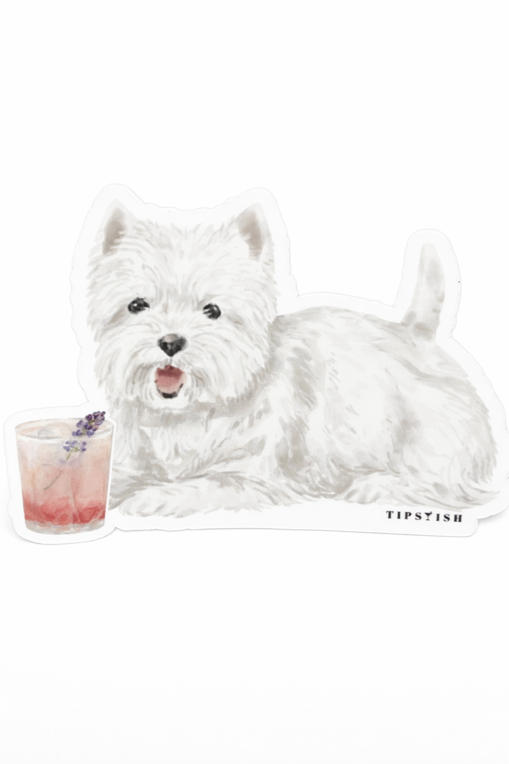 White dog with a drink on a white background