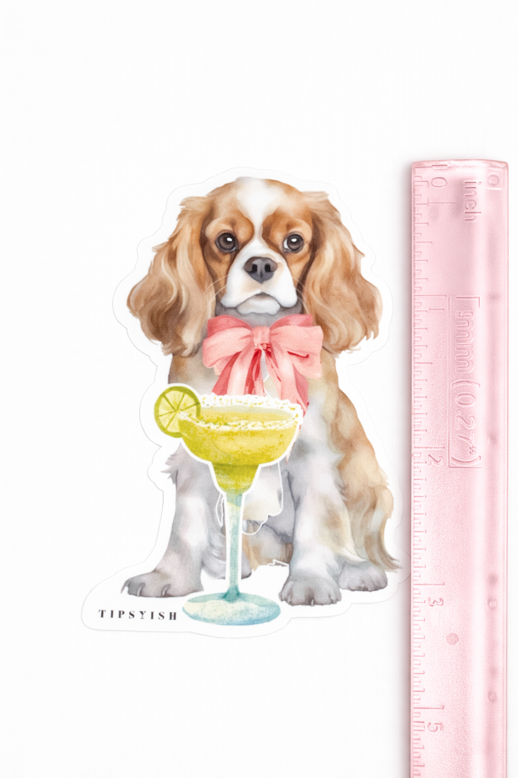 Dog with a cocktail and pink bow tie next to a ruler on a white background