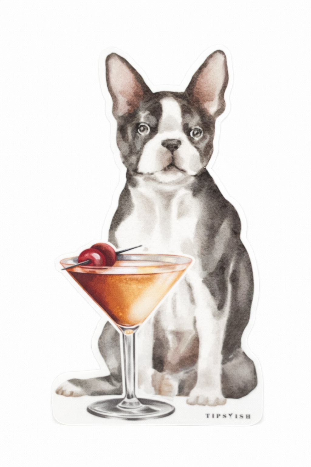 Illustration of a Boston Terrier with a cocktail and cherry on a white background