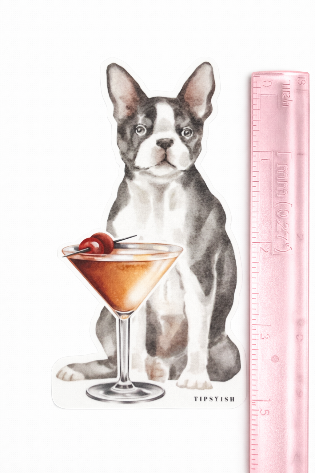 French bulldog next to a cocktail with a cherry and a ruler for scale on a white background