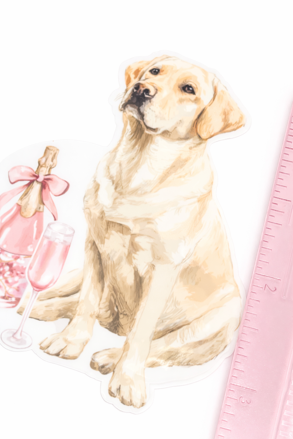 Dog sitting next to a bottle of pink champagne and a pink bottle opener on a white background