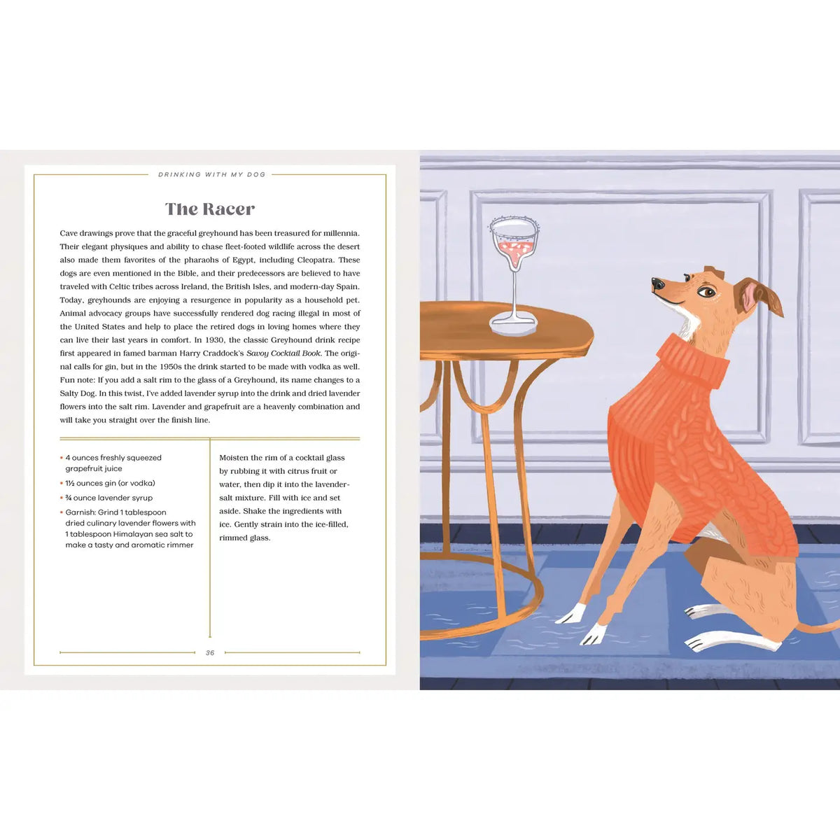 Illustrated interior spread from Drinking with My Dog featuring a greyhound wearing an orange sweater beside a cocktail table and The Racer grapefruit, gin, and lavender cocktail recipe.