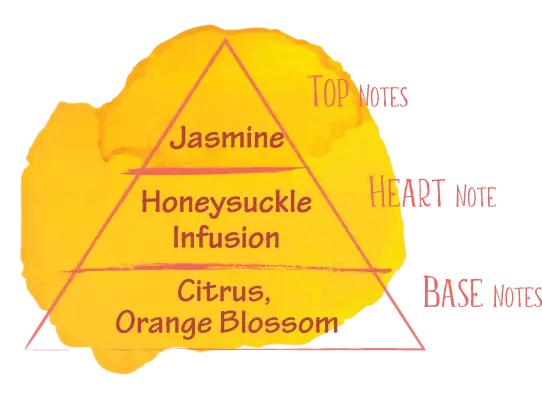 art showing a pyramid where the bottom represents the base notes of the mix as citrus and orange blossom, the heart note in center is a honeysuckle infusion, and the top notes are jasmine