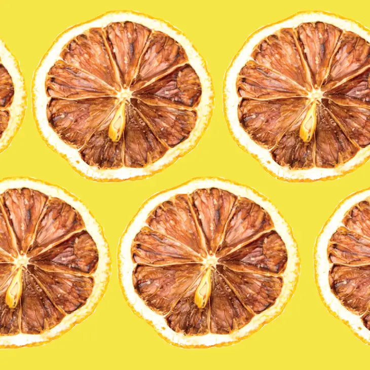 dehydrated lemon slices displayed against a bright yellow background